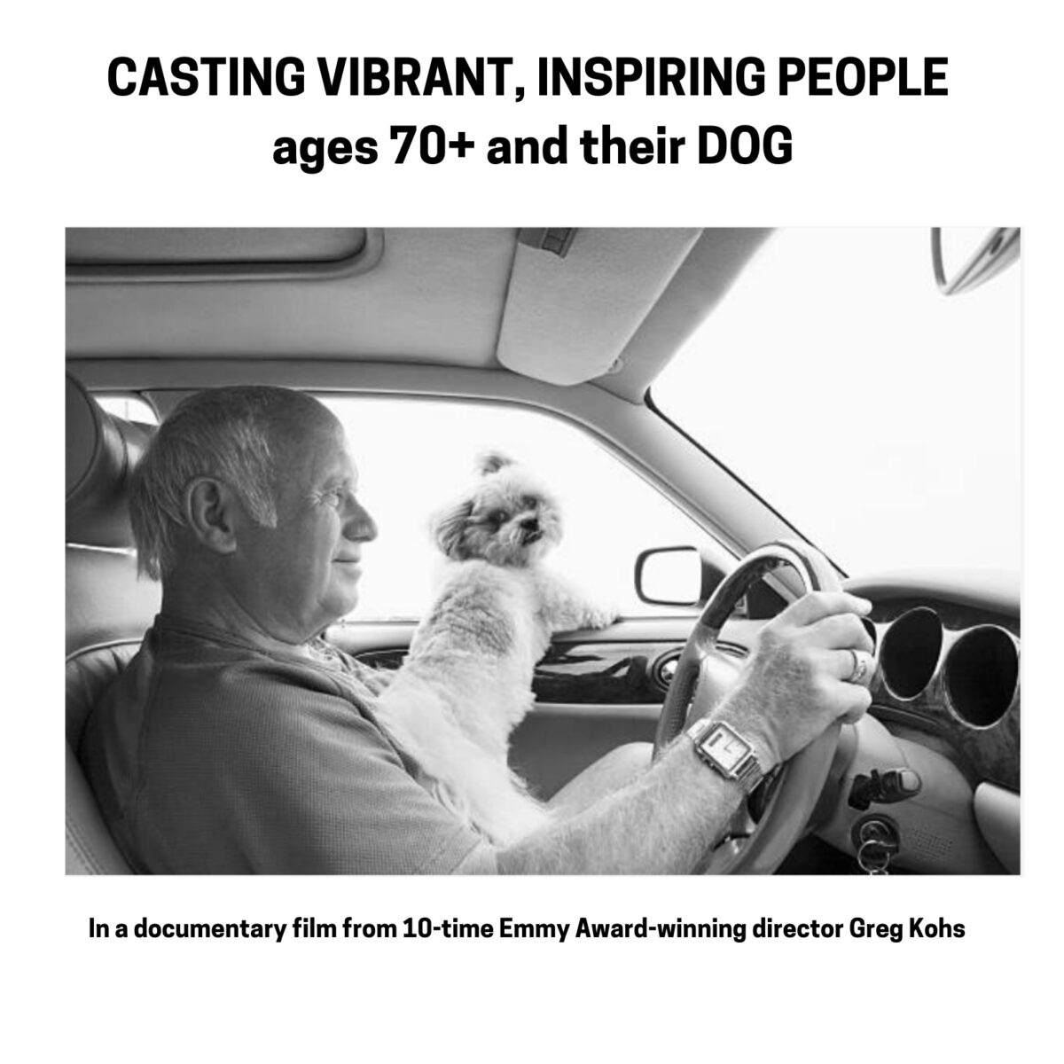 Elderly man driving a car with a small dog on his lap, casting call text for a documentary about inspiring people aged 70+.