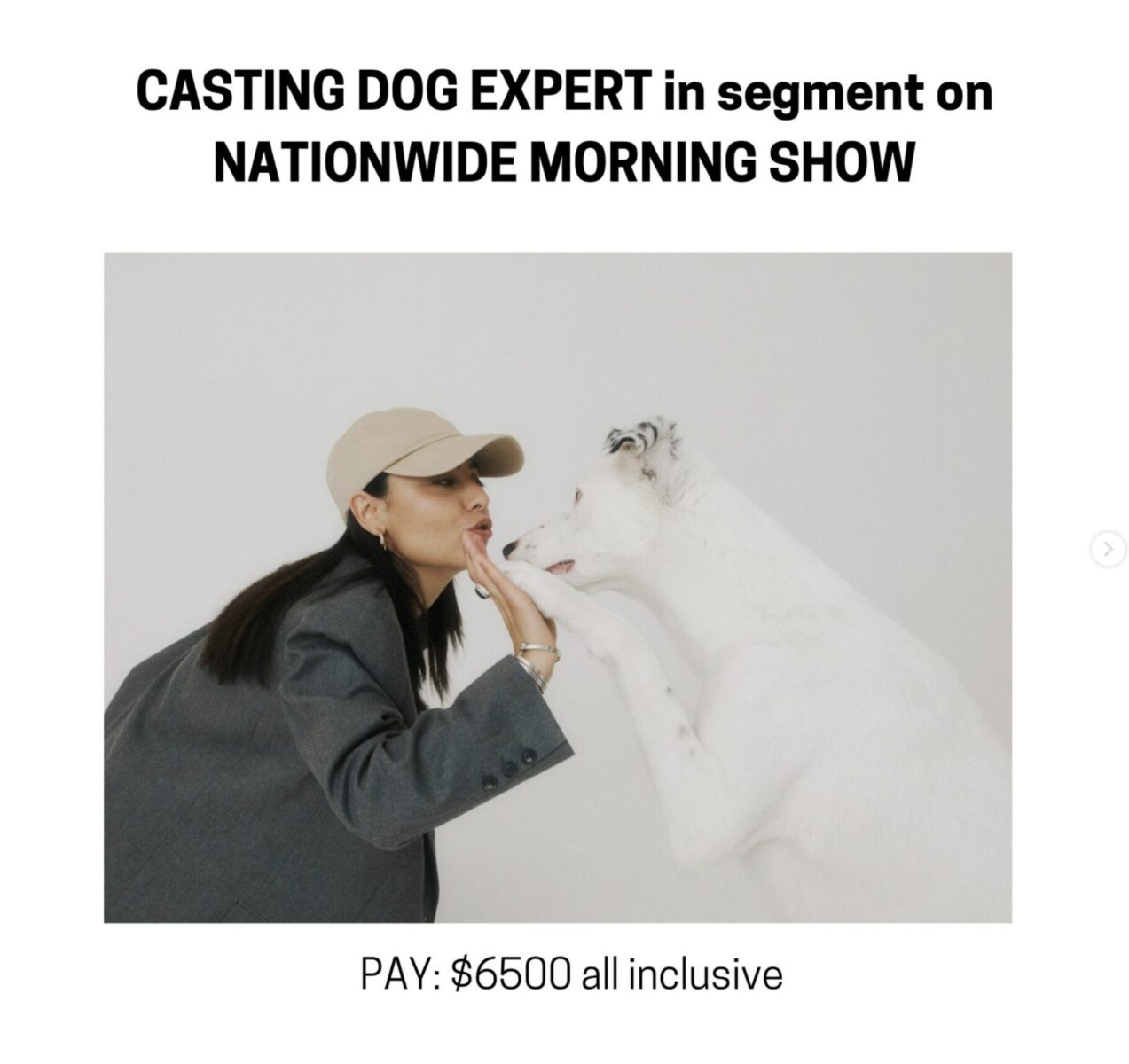 Person in a gray outfit and cap interacts with a white dog; text above mentions casting for a dog expert on a morning show.